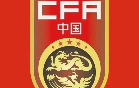 世界杯英雄执掌国足？邵佳一或成救世主，平民教头携德甲经验强势上位！