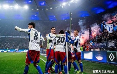 七年磨一剑：汉堡队终迎德甲回归，团结一心铸就辉煌