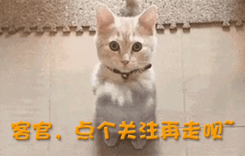 加盟德甲仅4月，28岁樊振东回归全运会，让人欣慰的一幕出现了