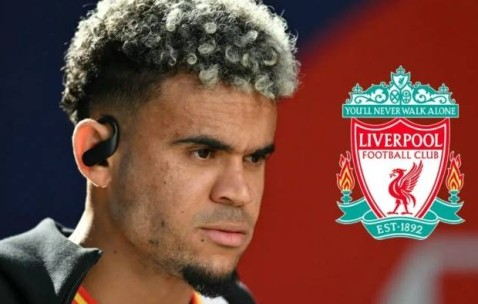 划算吗？曝利物浦7000万欧元放迪亚斯加盟拜仁，8000万欧签罗德里戈