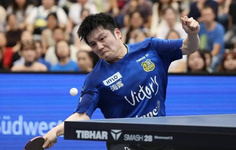连输三场到连胜逆转！樊振东德甲破质疑，小城因他门票难买旅游爆火