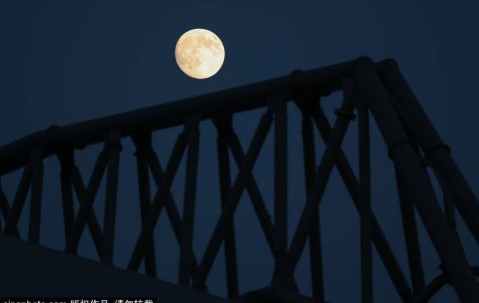 泰勒·莫顿：从红军小将到法甲新星的心路历程，英超冠军的光辉与沮丧交织