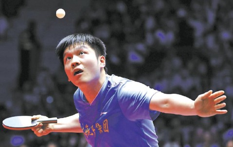 樊振东精彩活动不断！德甲门票开售即售罄，球迷热情高涨