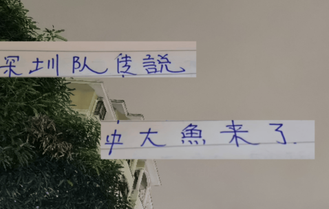 中超第29轮 申花打深圳更加难了！因为他们引进了一个英超射手