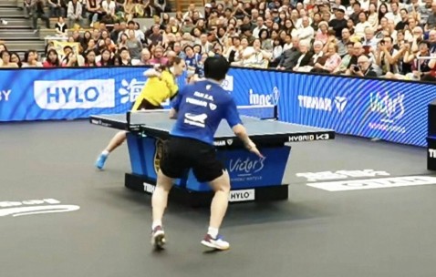 德甲3连胜！樊振东轰出首个3-0，22分钟横扫演倒地爆冲