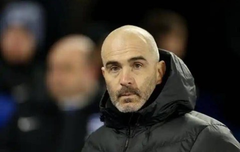 范尼看好帕尔默成为金球先生，马雷斯卡处于起步阶段