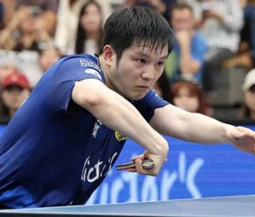 恭喜樊振东再添两场胜利,新年保持不败,德甲联赛持续碾压对手