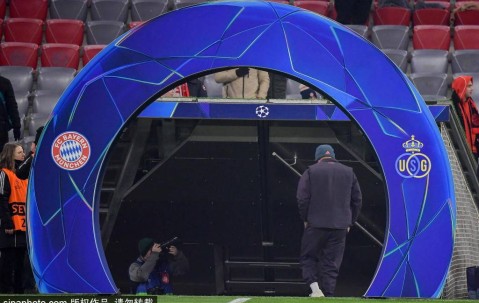 凯恩续约拜仁：从英超之星到德甲传奇的蜕变之路