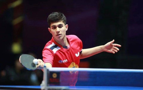 6天改写乒坛剧本！樊振东空降德甲，让欧洲俱乐部尝到顶流红利