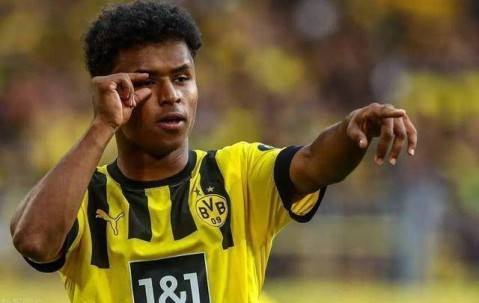 林克哈特觉得沃特金斯适合德甲，斯泰滕有可能争取阿德耶米