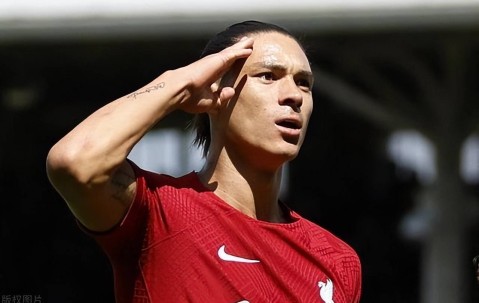 齐格勒建议努涅斯考虑德甲，阿隆索要制定更新换代的策略