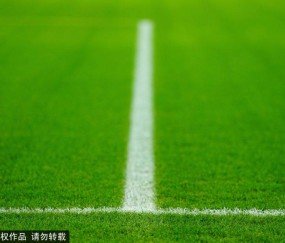 榜首大战！阿森纳冲击连胜，埃弗顿主场欲复仇