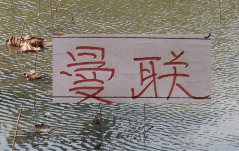 有排面！U23国足上了《新闻联播》 曼联B费再次入选英超单轮MVP