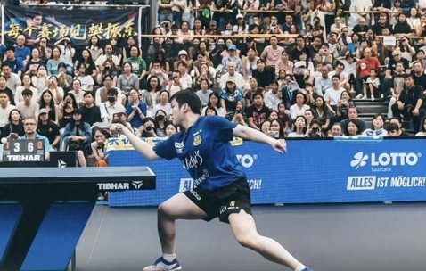 樊振东横扫豪格，赛后举动太暖心！没想到小胖又创造了欧冠新纪录